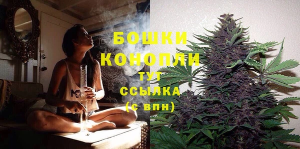 ПСИЛОЦИБИНОВЫЕ ГРИБЫ Балабаново