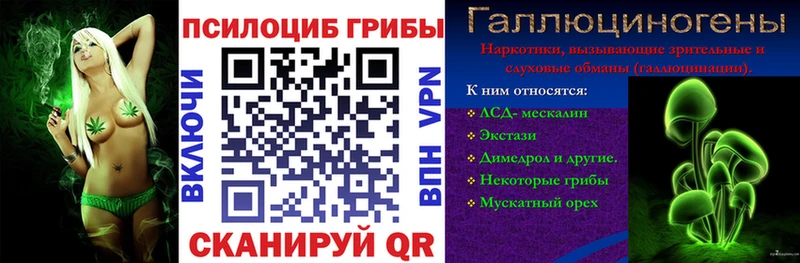 Галлюциногенные грибы MAGIC MUSHROOMS  Удомля 